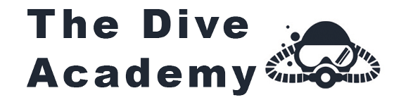 Diving Essentials